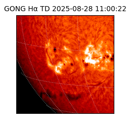 gong - 2025-08-28T11:00:22