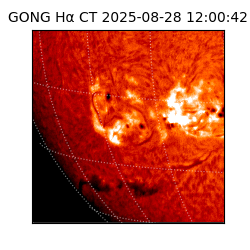 gong - 2025-08-28T12:00:42