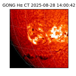 gong - 2025-08-28T14:00:42