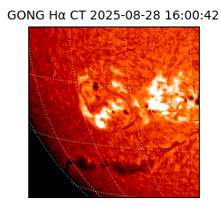 gong - 2025-08-28T16:00:42