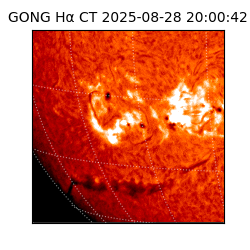 gong - 2025-08-28T20:00:42