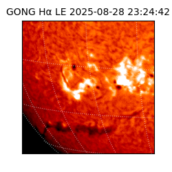 gong - 2025-08-28T23:24:42