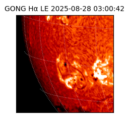 gong - 2025-08-28T03:00:42
