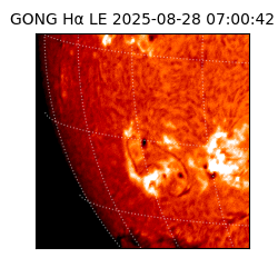 gong - 2025-08-28T07:00:42