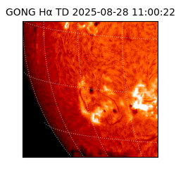 gong - 2025-08-28T11:00:22
