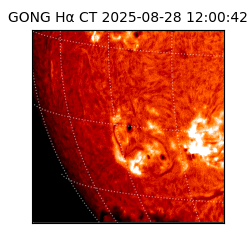 gong - 2025-08-28T12:00:42