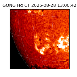 gong - 2025-08-28T13:00:42