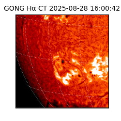 gong - 2025-08-28T16:00:42