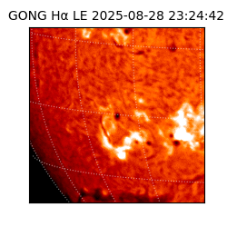 gong - 2025-08-28T23:24:42
