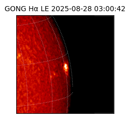 gong - 2025-08-28T03:00:42
