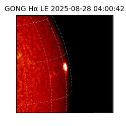 gong - 2025-08-28T04:00:42