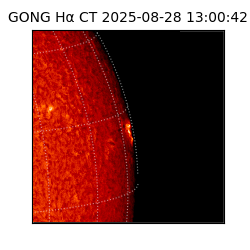 gong - 2025-08-28T13:00:42