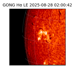 gong - 2025-08-28T02:00:42