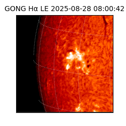gong - 2025-08-28T08:00:42