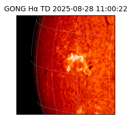 gong - 2025-08-28T11:00:22