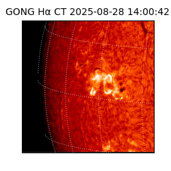gong - 2025-08-28T14:00:42