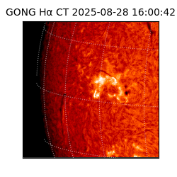 gong - 2025-08-28T16:00:42
