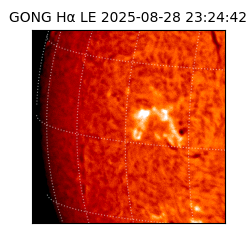 gong - 2025-08-28T23:24:42
