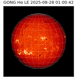 gong - 2025-08-28T01:00:42