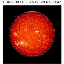 gong - 2025-08-28T07:00:42