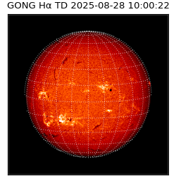 gong - 2025-08-28T10:00:22