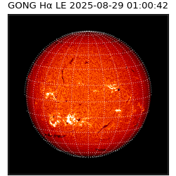 gong - 2025-08-29T01:00:42
