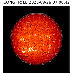 gong - 2025-08-29T07:00:42