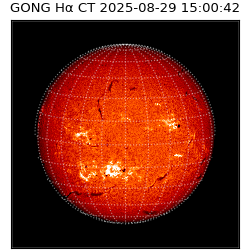 gong - 2025-08-29T15:00:42