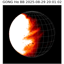 gong - 2025-08-29T20:01:02