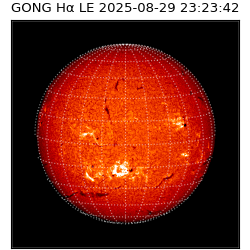 gong - 2025-08-29T23:23:42