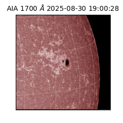 saia - 2025-08-30T19:00:28.718000