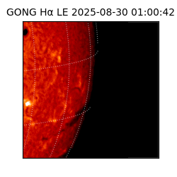 gong - 2025-08-30T01:00:42