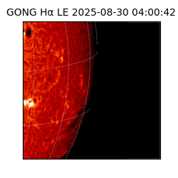 gong - 2025-08-30T04:00:42