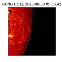 gong - 2025-08-30T05:00:42