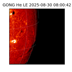 gong - 2025-08-30T08:00:42