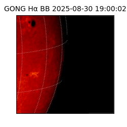 gong - 2025-08-30T19:00:02