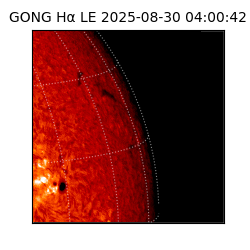 gong - 2025-08-30T04:00:42