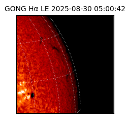gong - 2025-08-30T05:00:42