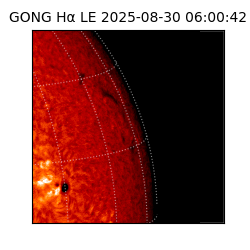 gong - 2025-08-30T06:00:42
