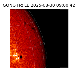 gong - 2025-08-30T09:00:42