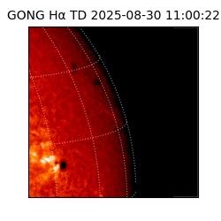 gong - 2025-08-30T11:00:22