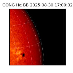 gong - 2025-08-30T17:00:02