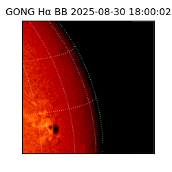 gong - 2025-08-30T18:00:02