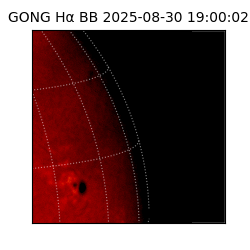 gong - 2025-08-30T19:00:02