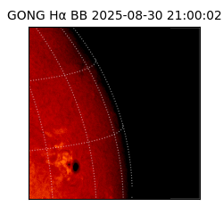 gong - 2025-08-30T21:00:02