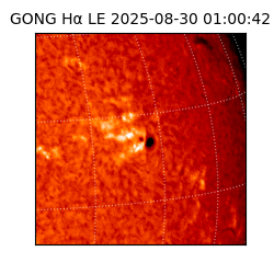 gong - 2025-08-30T01:00:42
