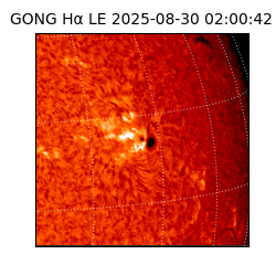 gong - 2025-08-30T02:00:42