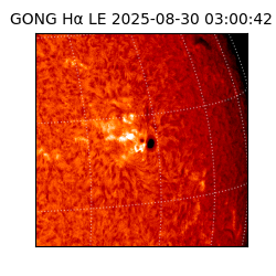 gong - 2025-08-30T03:00:42