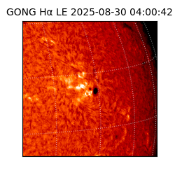 gong - 2025-08-30T04:00:42