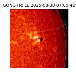 gong - 2025-08-30T07:00:42